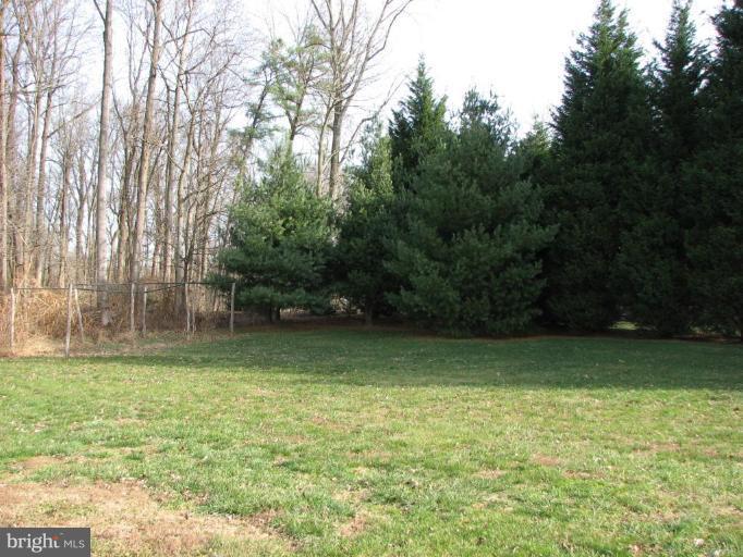 29165 Ricks Landing Road Kennedyville, MD 21645 - Photo 7 of 13 Back Yard