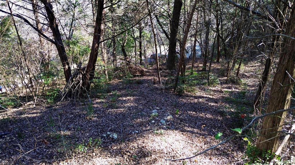 1917 Juniper Ridge Road Cedar Hill, TX 75104 - Photo 13 of 23 a view of forest