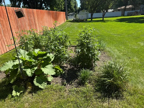 $289,900 | 209 Burr Oak Drive, Albert Lea, MN 56007