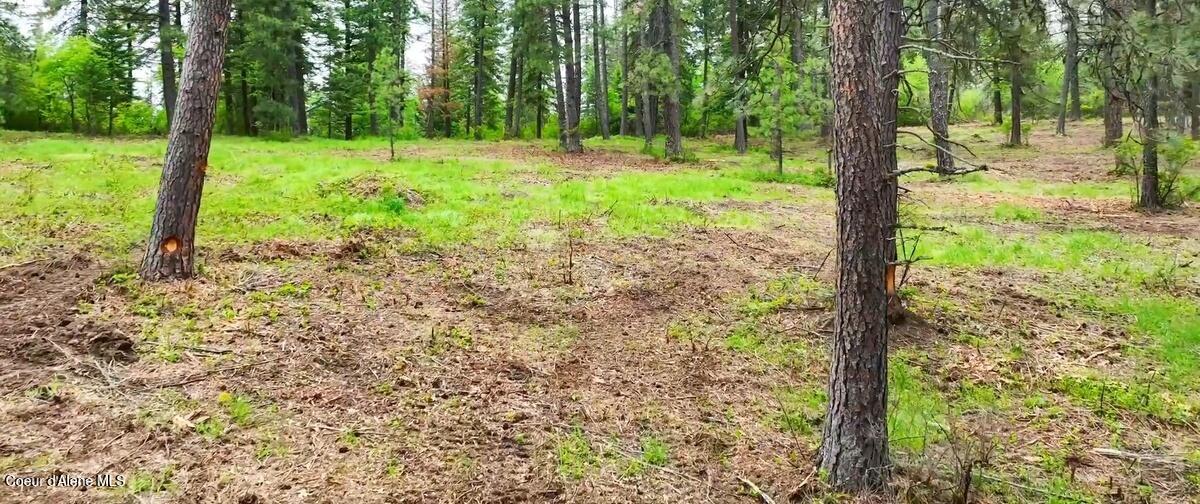 Parcel A South Dunlap Road Harrison, ID 83833 - Photo 21 of 27 Parcel A Ground