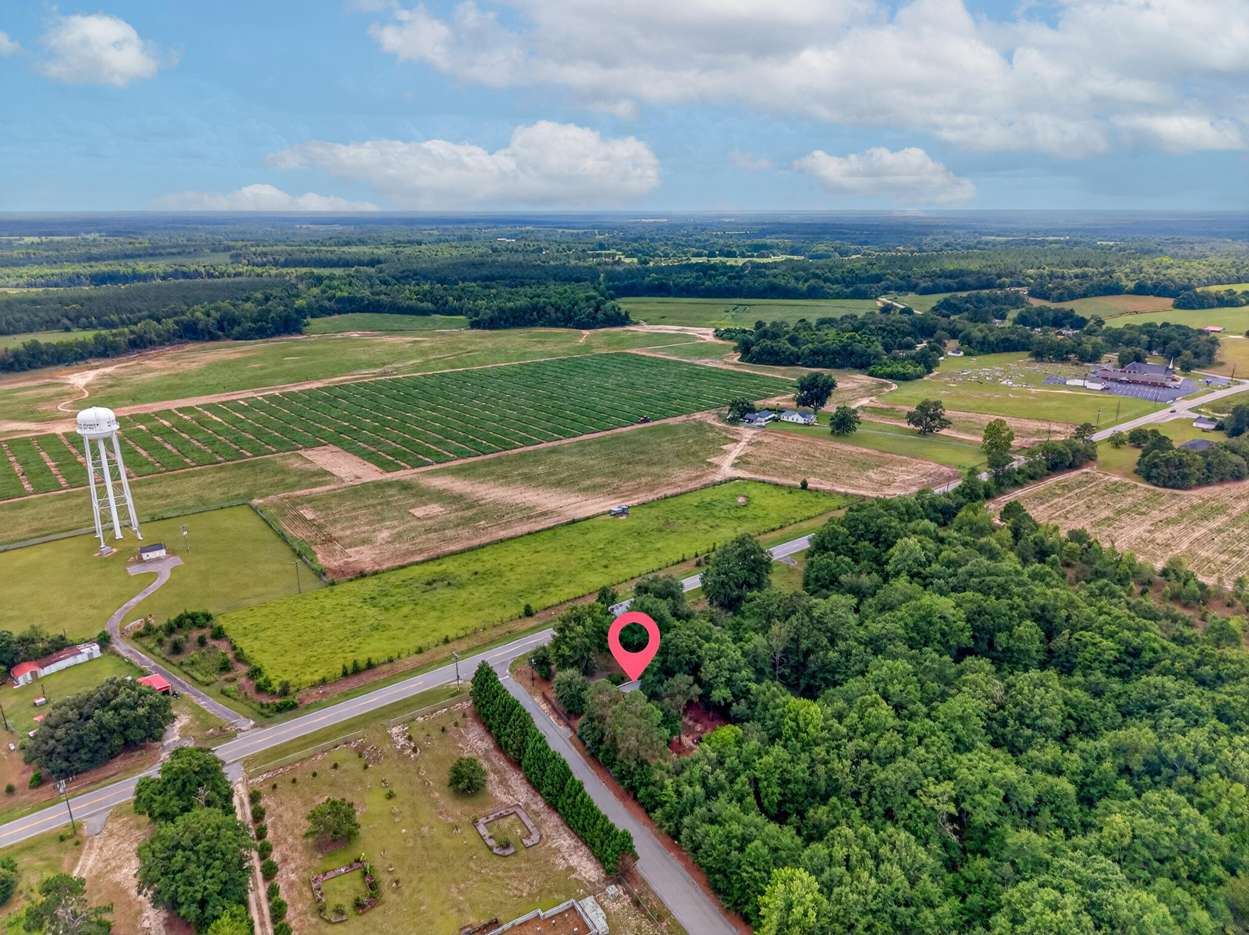 2699 Ninety 6 Road Neeses, SC 29107 - Photo 4 of 17