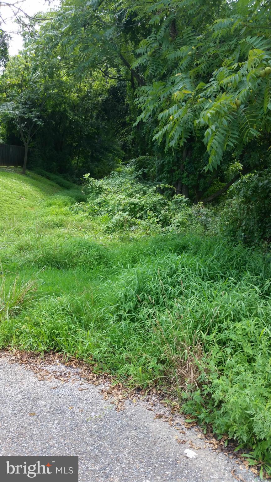 Morrisway Road Owings Mills, MD 21117 - Photo 1 of 2 View