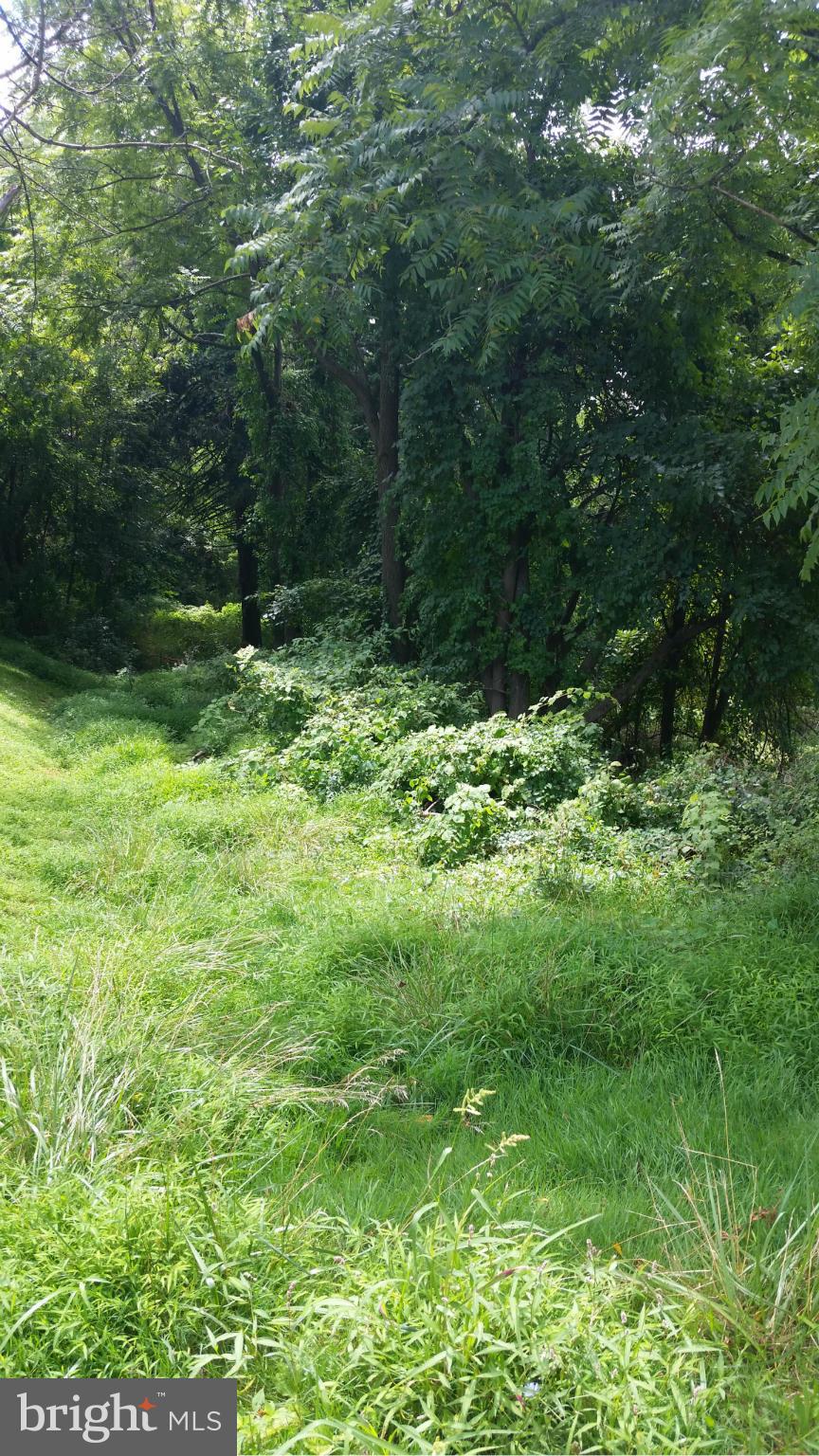 Morrisway Road Owings Mills, MD 21117 - Photo 2 of 2 View