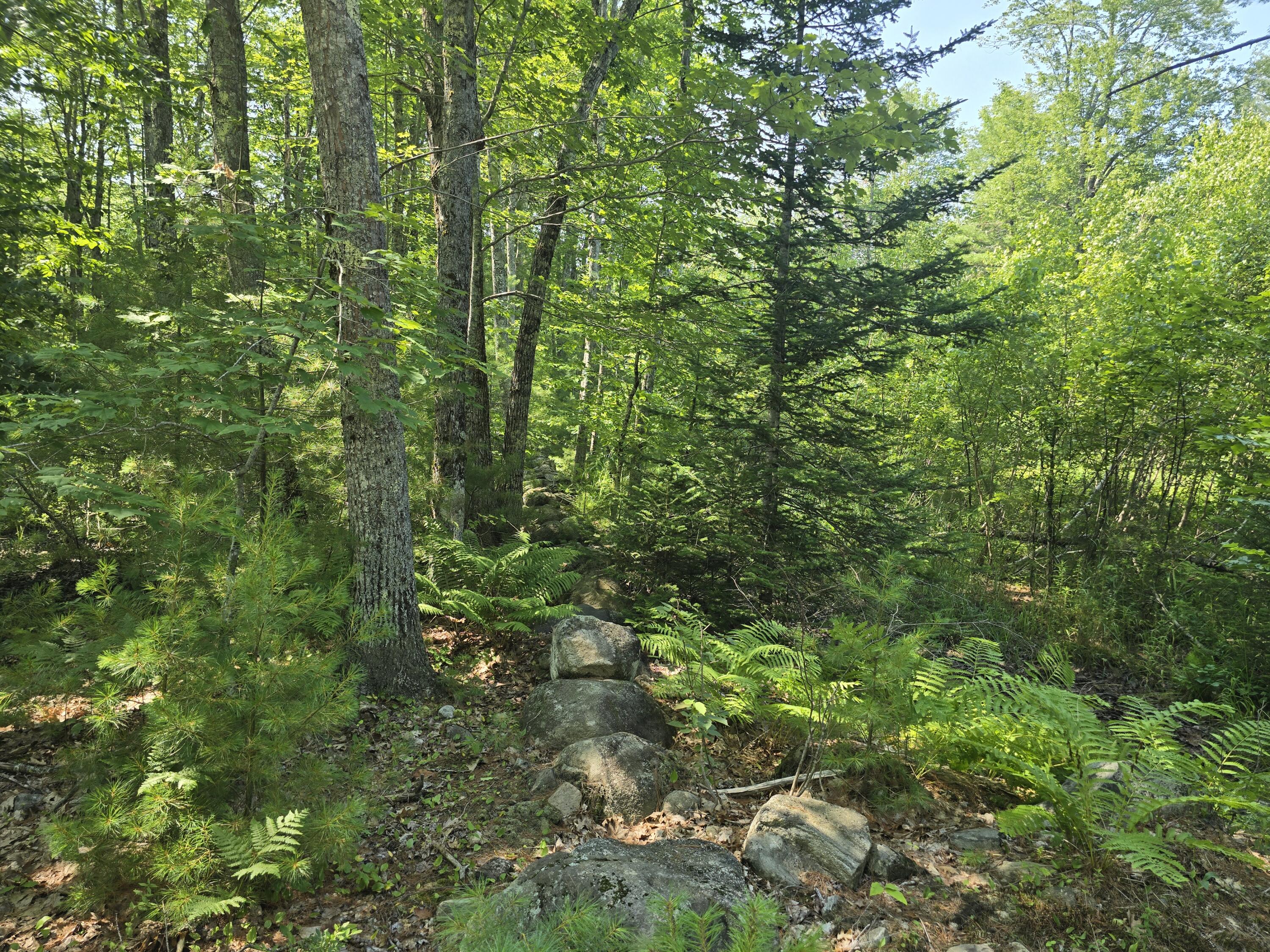 0 Head Tide Hill Road Alna, ME 04535 - Photo 1 of 12 20250716_144215