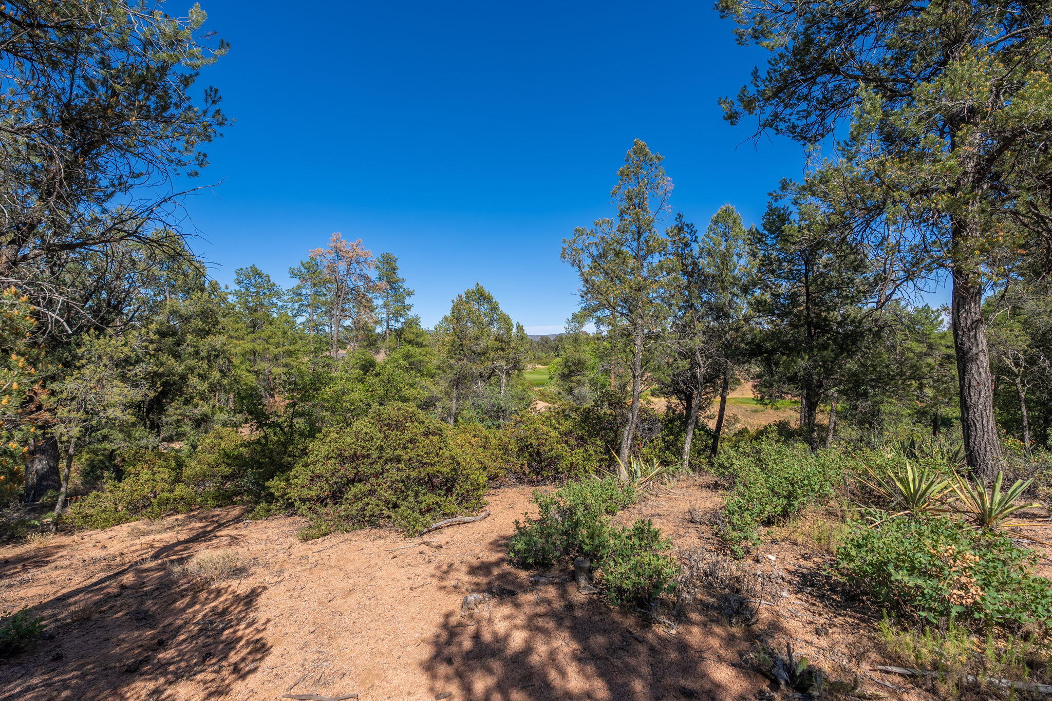 506 South Primeval Payson, AZ 85541 - Photo 31 of 48