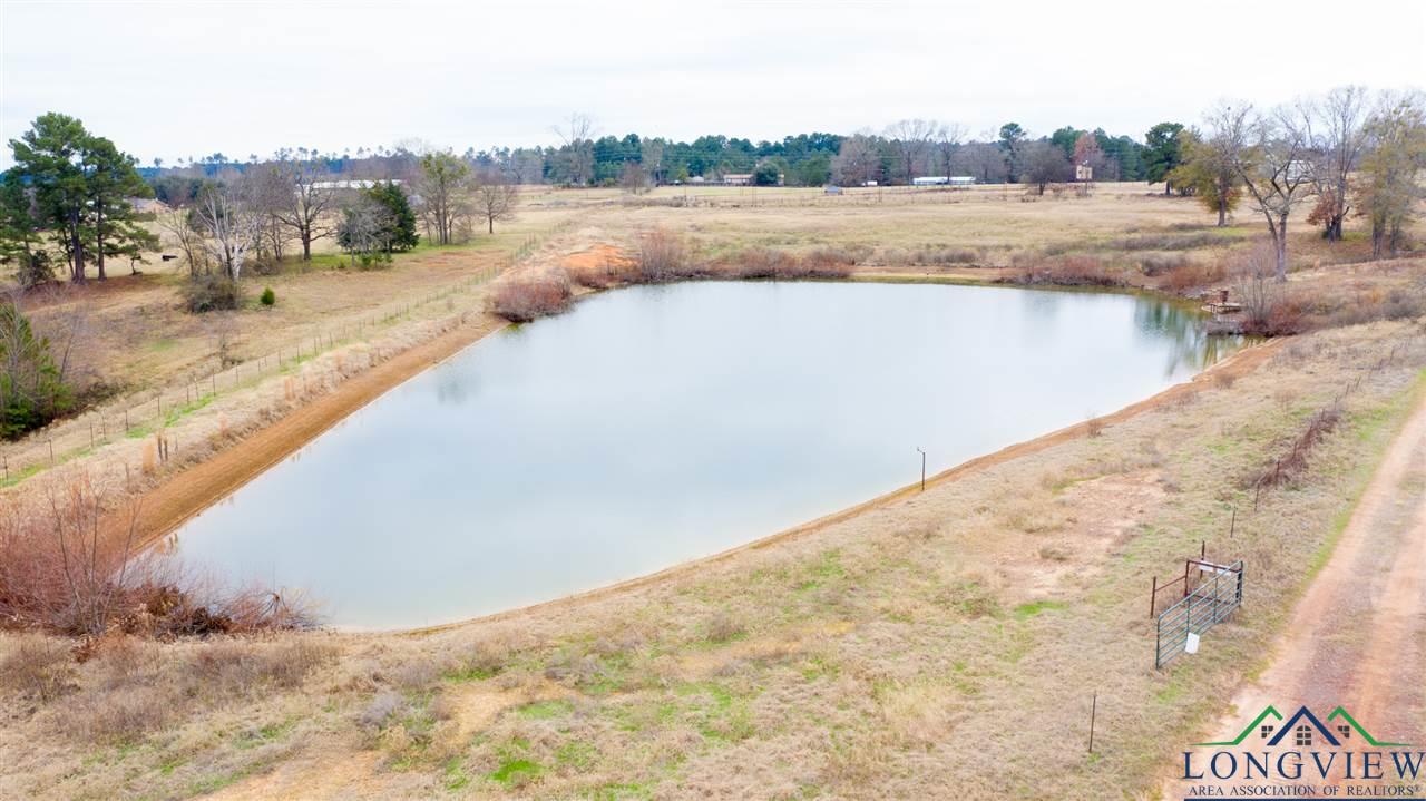 10477 Mallard Road Diana, TX 75640 - Photo 2 of 28 Gallery Image 2