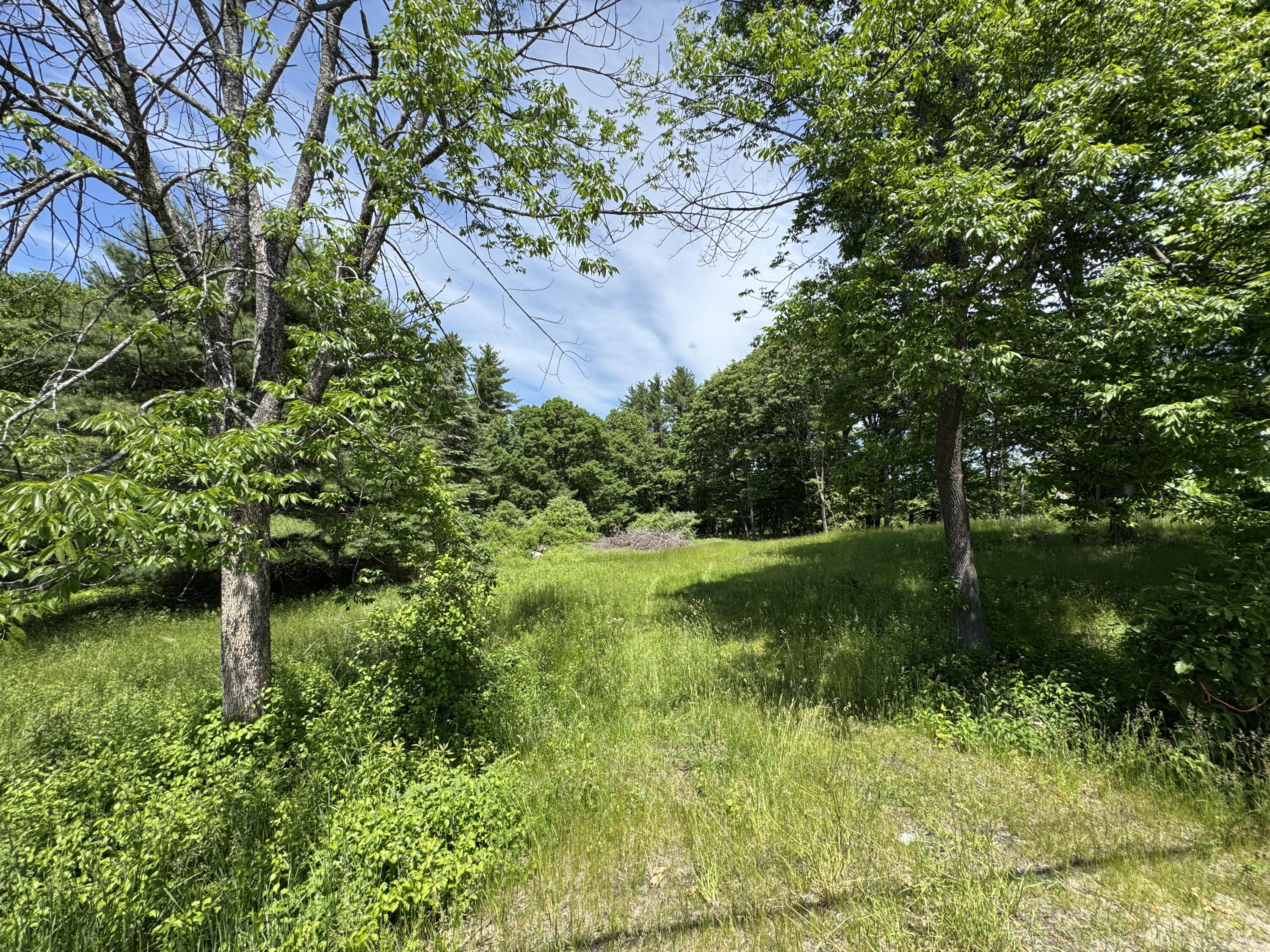 0 County Road Gorham, ME 04038 - Photo 7 of 10 IMG_8695