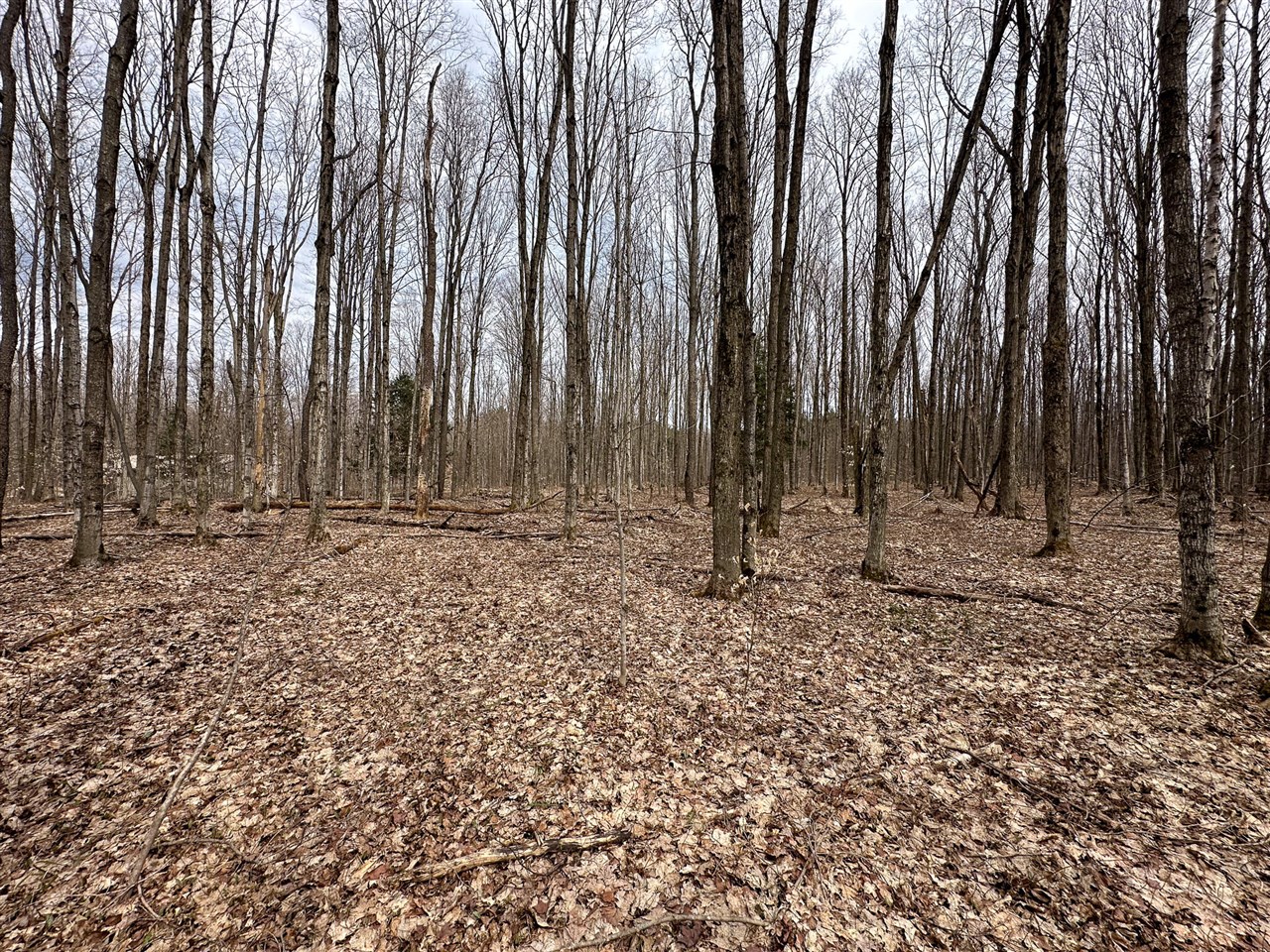 5 V/l Covert Road Mancelona, MI 49659 - Photo 14 of 20 Gallery Image 14