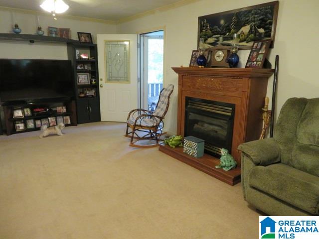 20025 Booler Road Vance, AL 35490 - Photo 7 of 48
