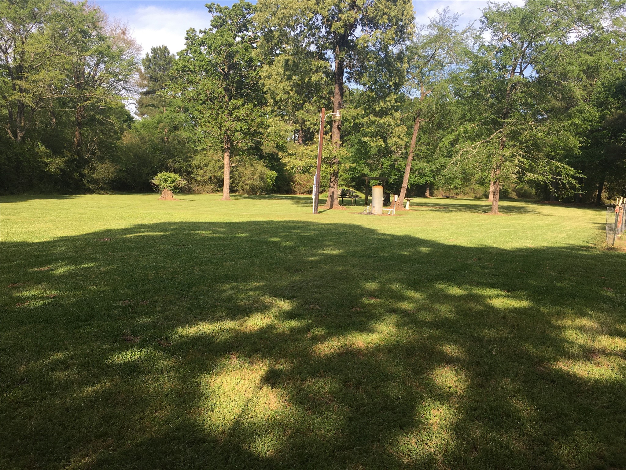 a view of yard with green space and trees
