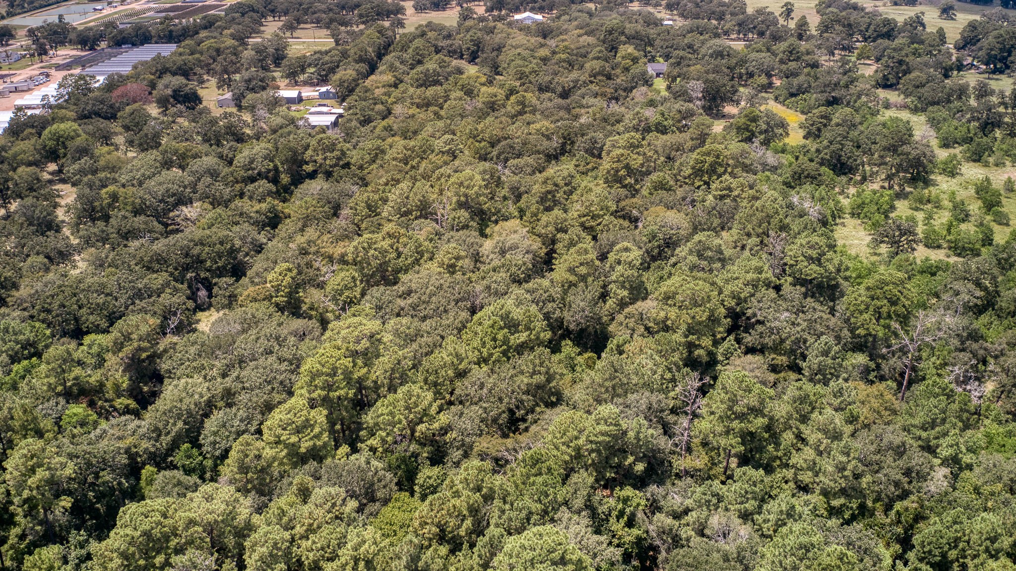 2160 Bowler Road Waller, TX 77484 - Photo 11 of 24 an aerial view of residential houses with outdoor space