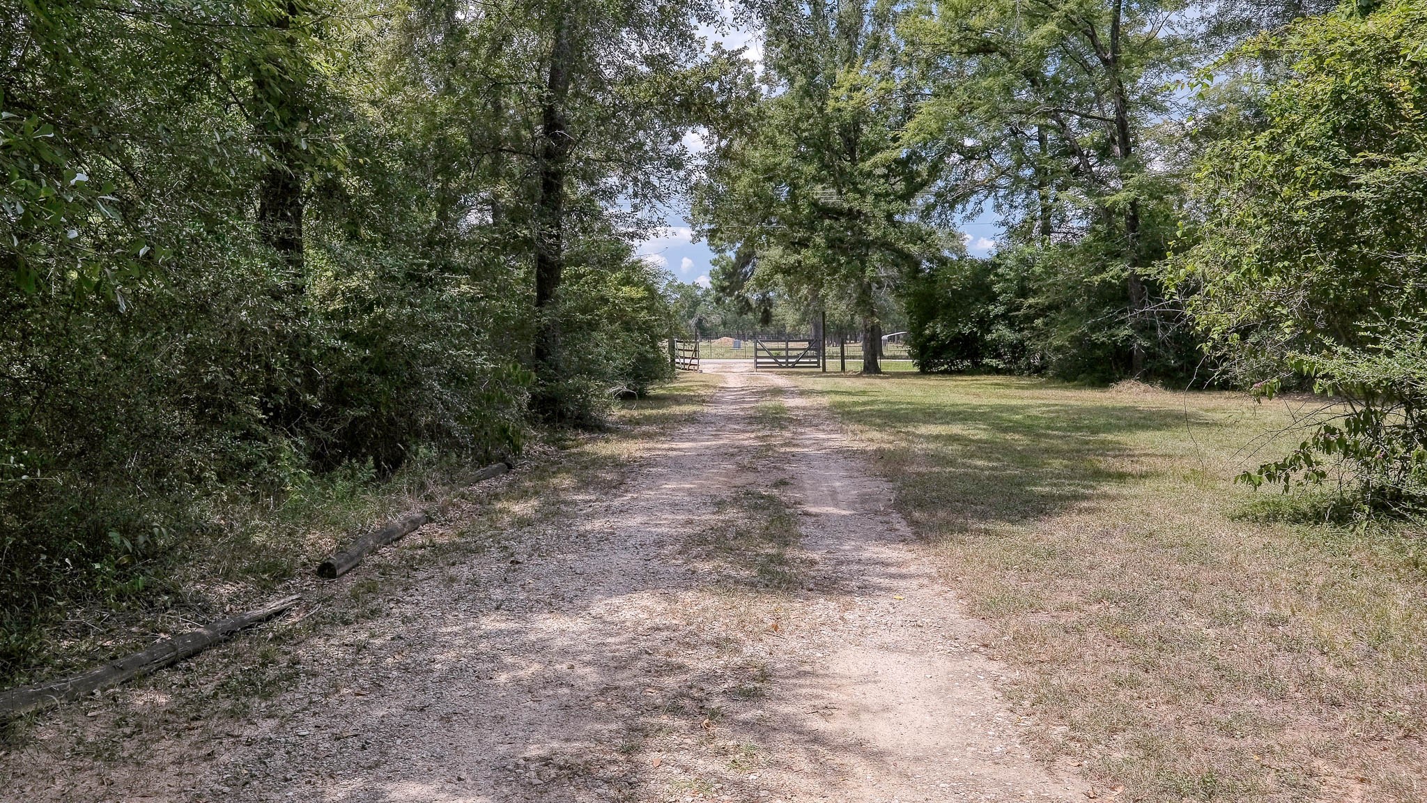 2160 Bowler Road Waller, TX 77484 - Photo 17 of 24 a view of outdoor space with trees all around