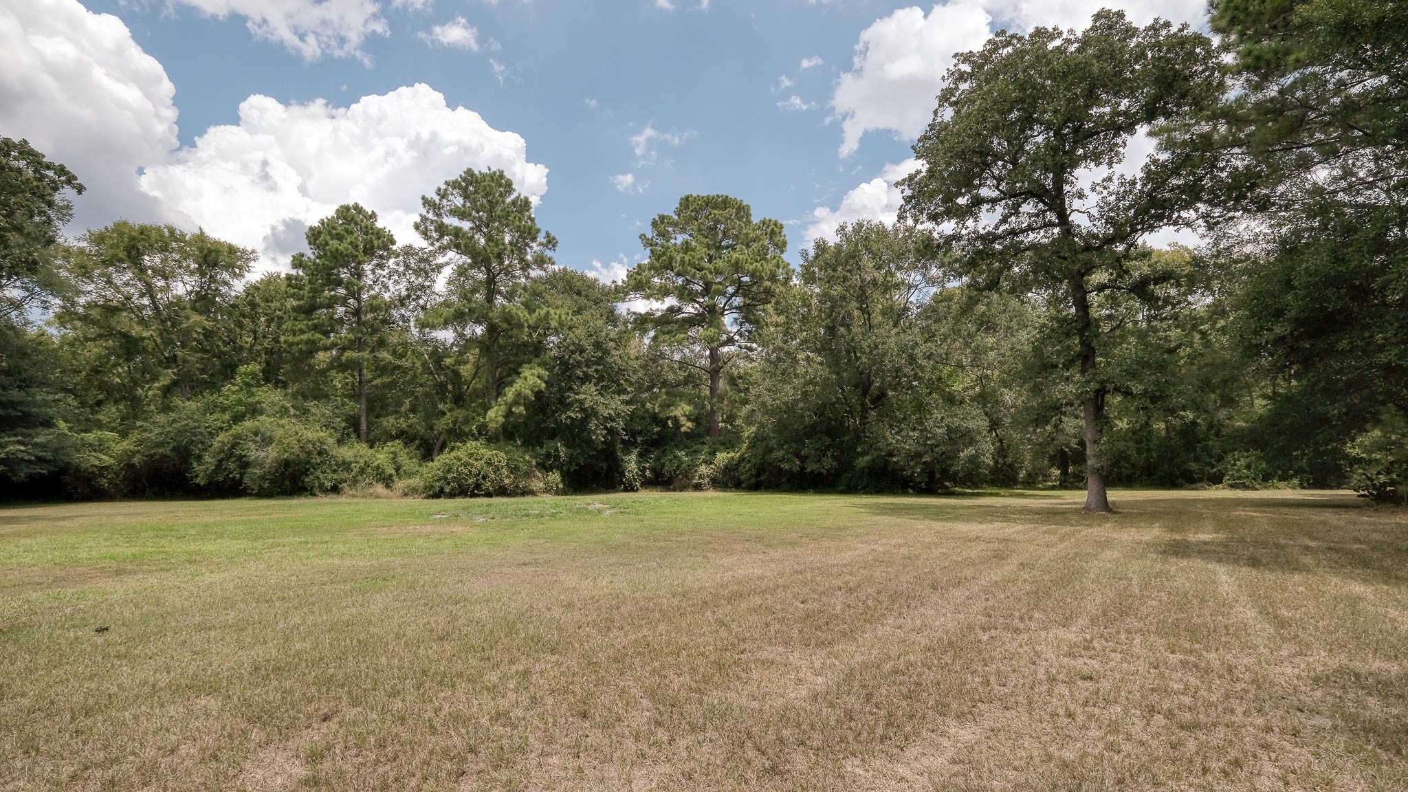 2160 Bowler Road Waller, TX 77484 - Photo 19 of 24 a view of an outdoor space with a house