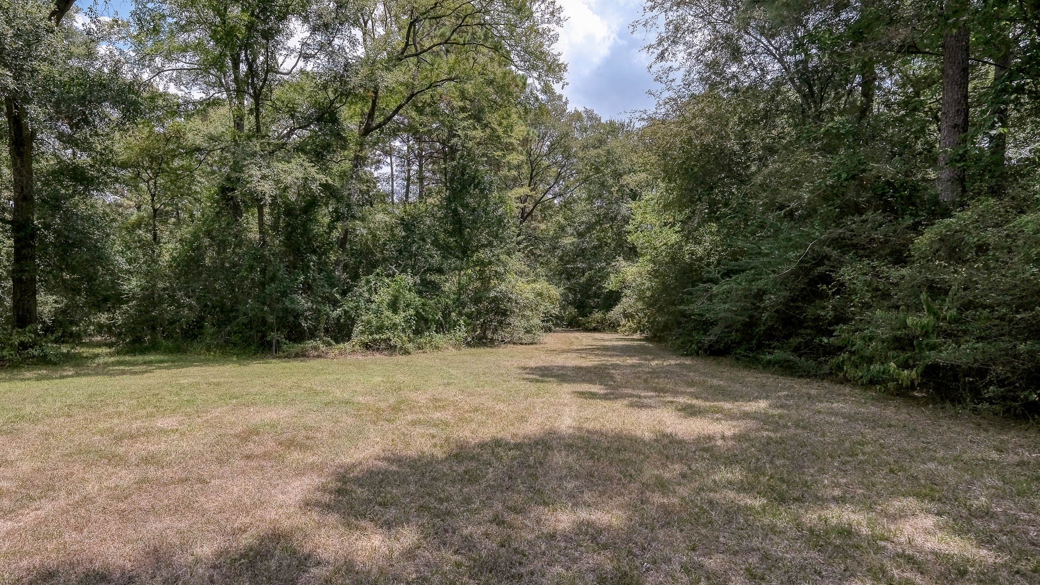 2160 Bowler Road Waller, TX 77484 - Photo 20 of 24 a view of empty field with trees