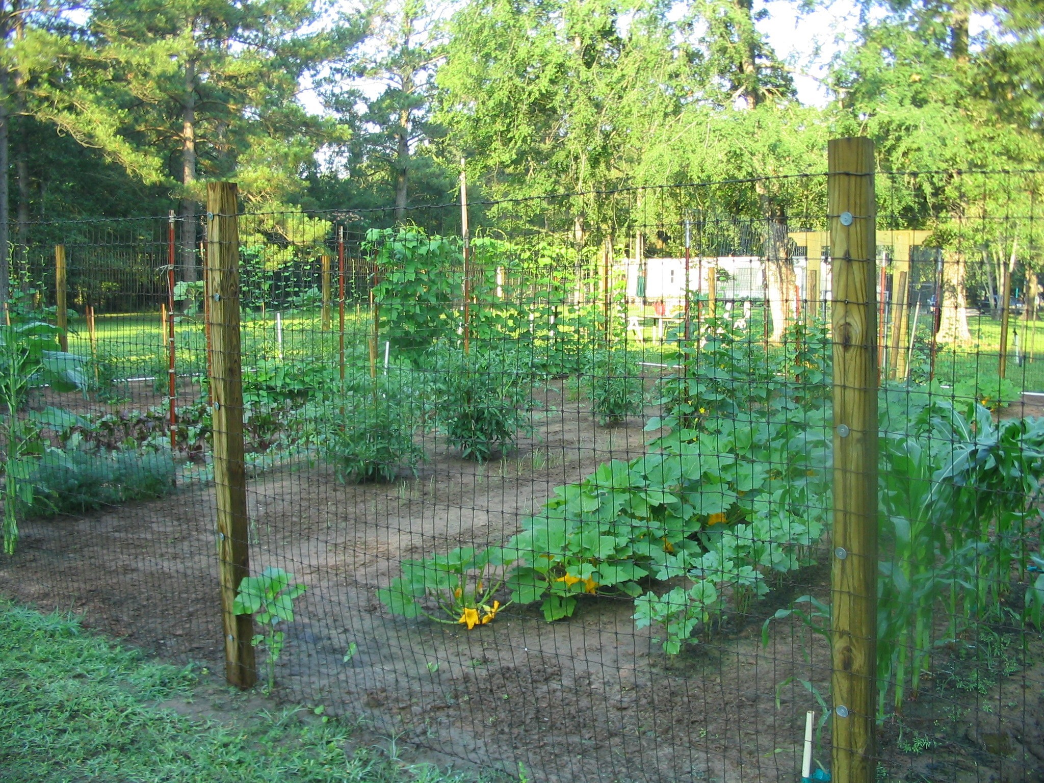 2160 Bowler Road Waller, TX 77484 - Photo 3 of 24 a backyard of a house with lots of green space and outdoor seating