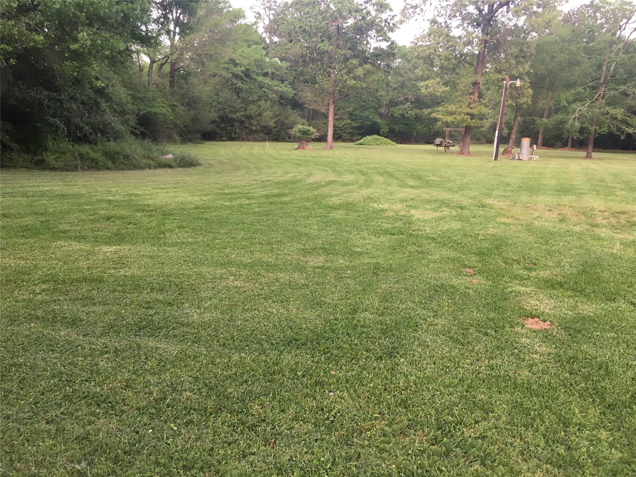 2160 Bowler Road Waller, TX 77484 - Photo 4 of 24 a big yard with lots of green space and trees