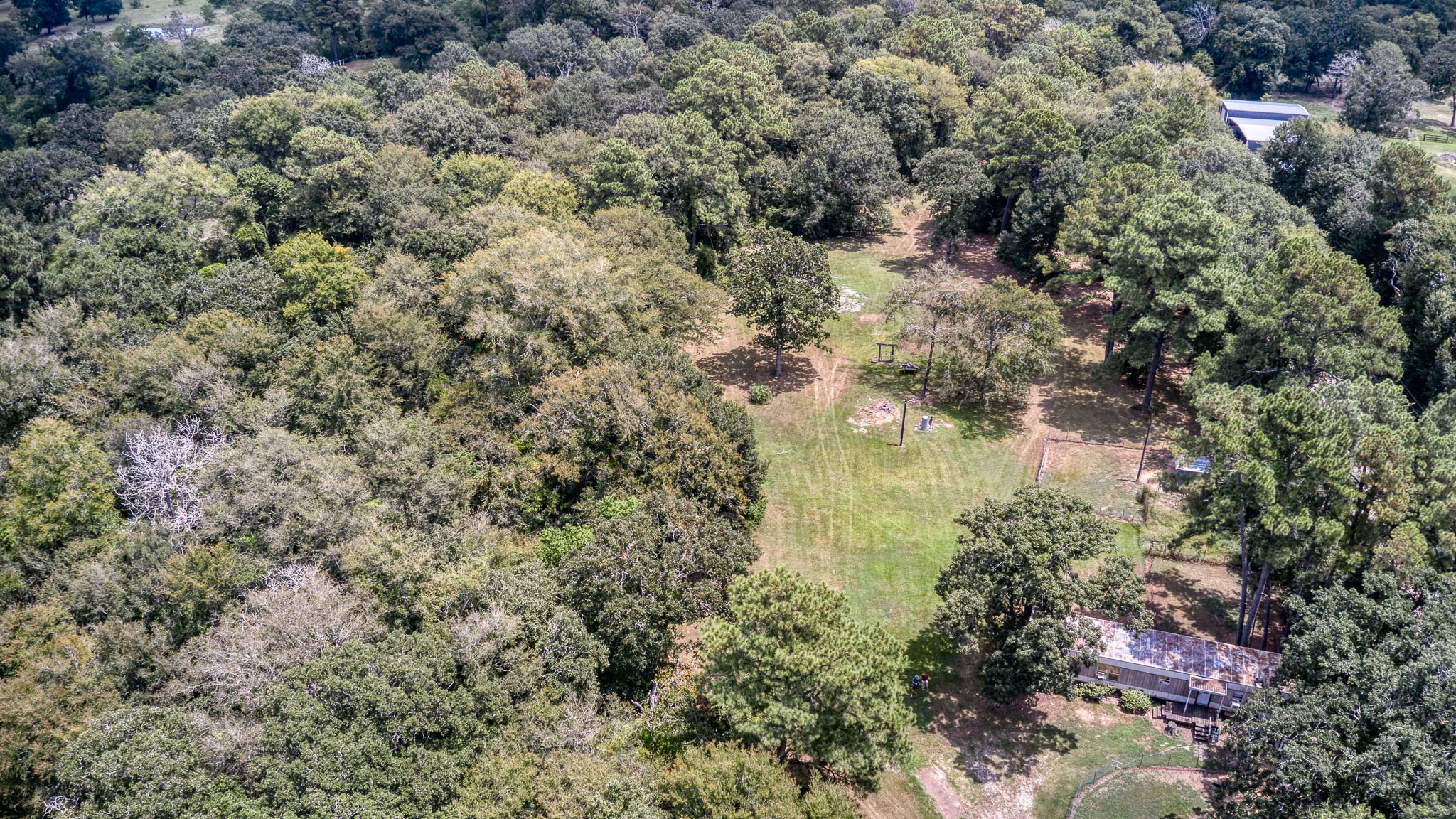 2160 Bowler Road Waller, TX 77484 - Photo 6 of 24 a view of a lake with large trees