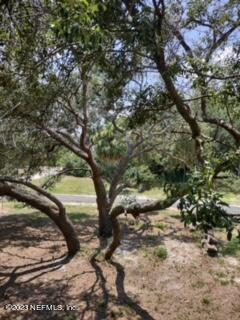 108 Raleigh Avenue Satsuma, FL 32189 - Photo 54 of 55 imagejpeg_0_17