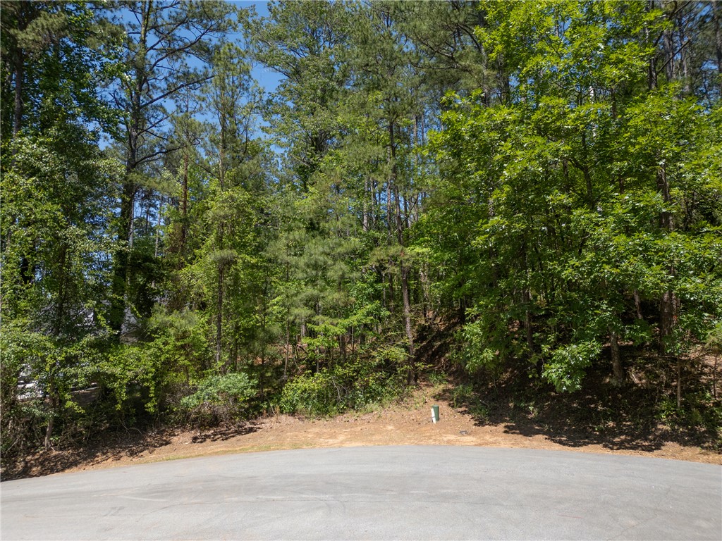 23 Tradewinds Way Salem, SC 29676 - Photo 11 of 31 A spacious, tree-lined lot offers a verdant backdrop for your future home.