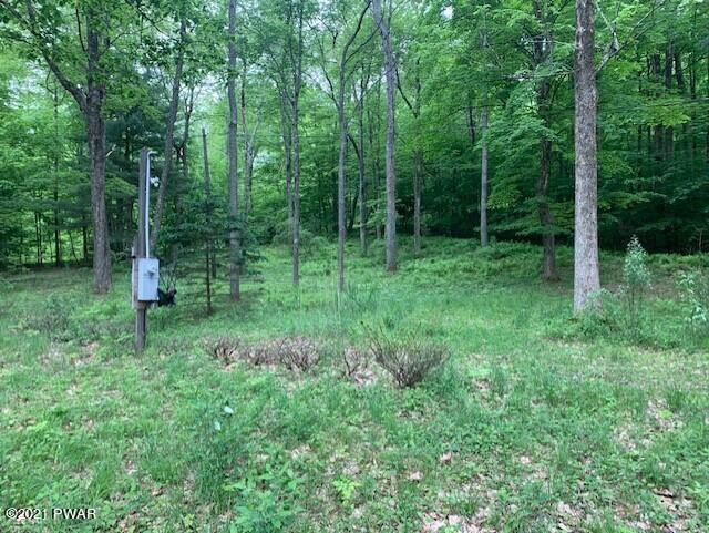 464 Penn-York Road Starlight, PA 18461 - Photo 4 of 9 2+ acres
