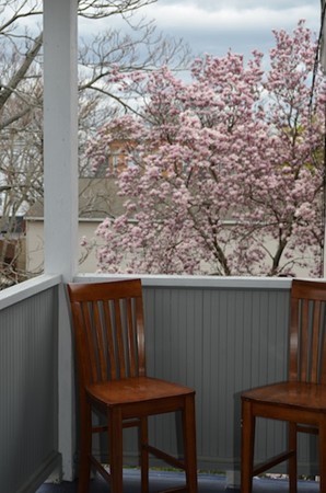 129 Shurtleff Street, Unit 3 Chelsea, MA 02150 - Photo 4 of 15 Gallery Image 4