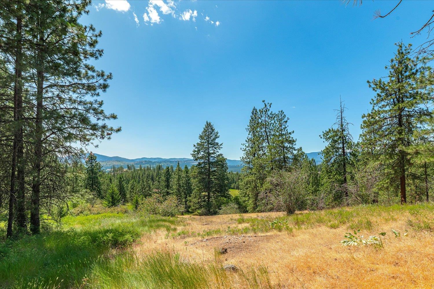 786 X Arden Butte Road Colville, WA 99114 - Photo 11 of 35