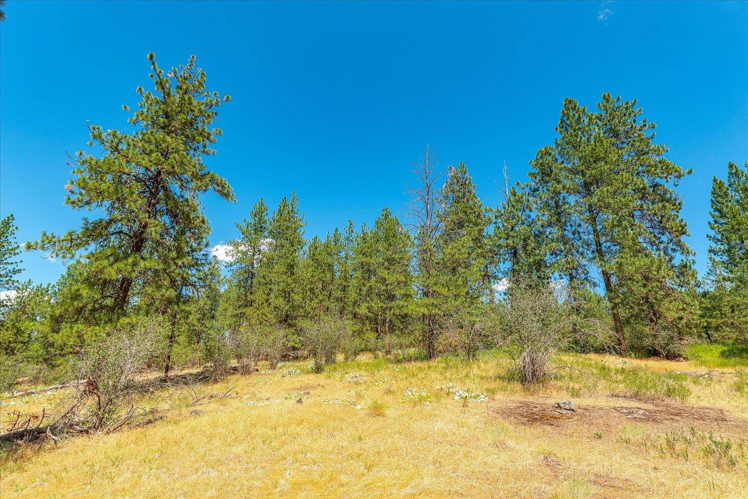 786 X Arden Butte Road Colville, WA 99114 - Photo 13 of 35