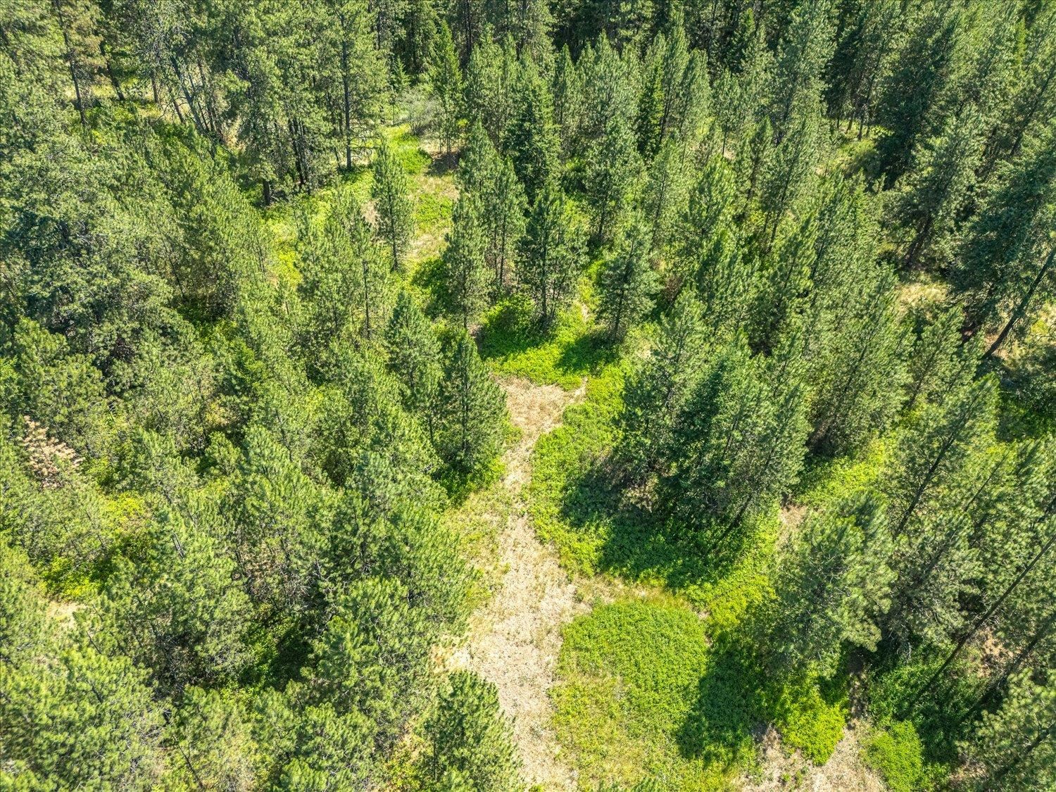 786 X Arden Butte Road Colville, WA 99114 - Photo 15 of 35