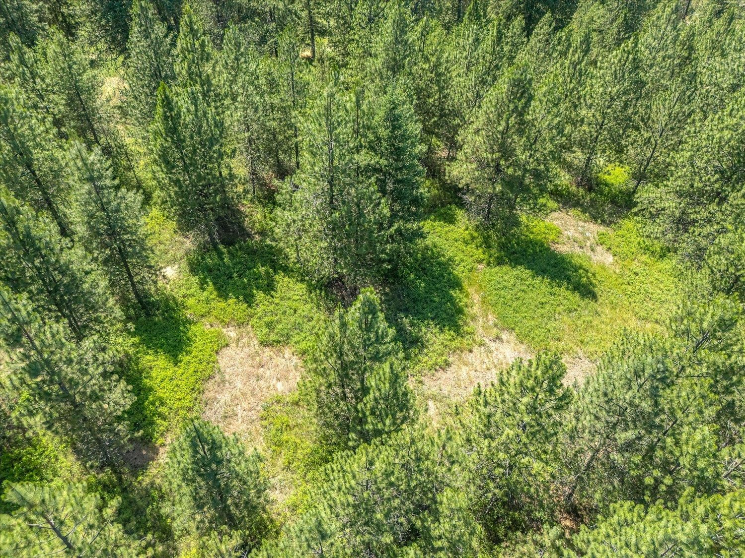 786 X Arden Butte Road Colville, WA 99114 - Photo 16 of 35