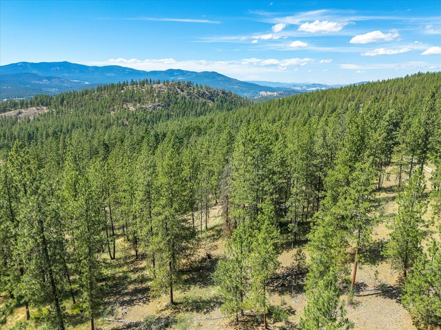 786 X Arden Butte Road Colville, WA 99114 - Photo 19 of 35