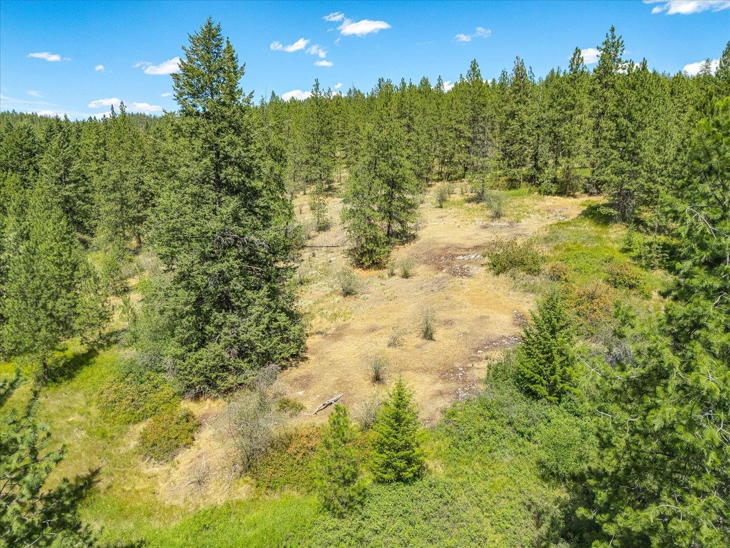 786 X Arden Butte Road Colville, WA 99114 - Photo 20 of 35