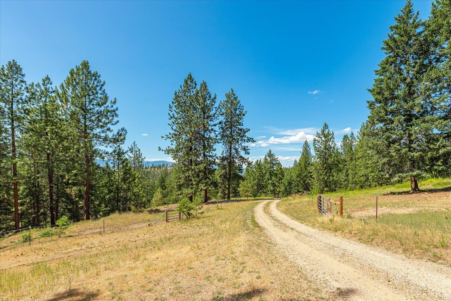 786 X Arden Butte Road Colville, WA 99114 - Photo 2 of 35