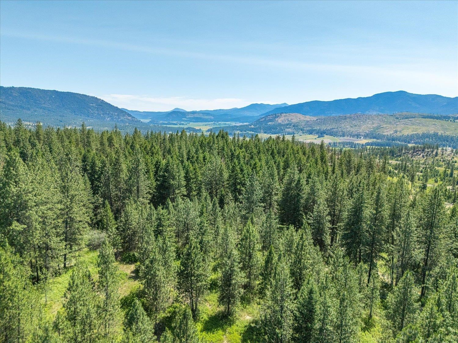 786 X Arden Butte Road Colville, WA 99114 - Photo 21 of 35