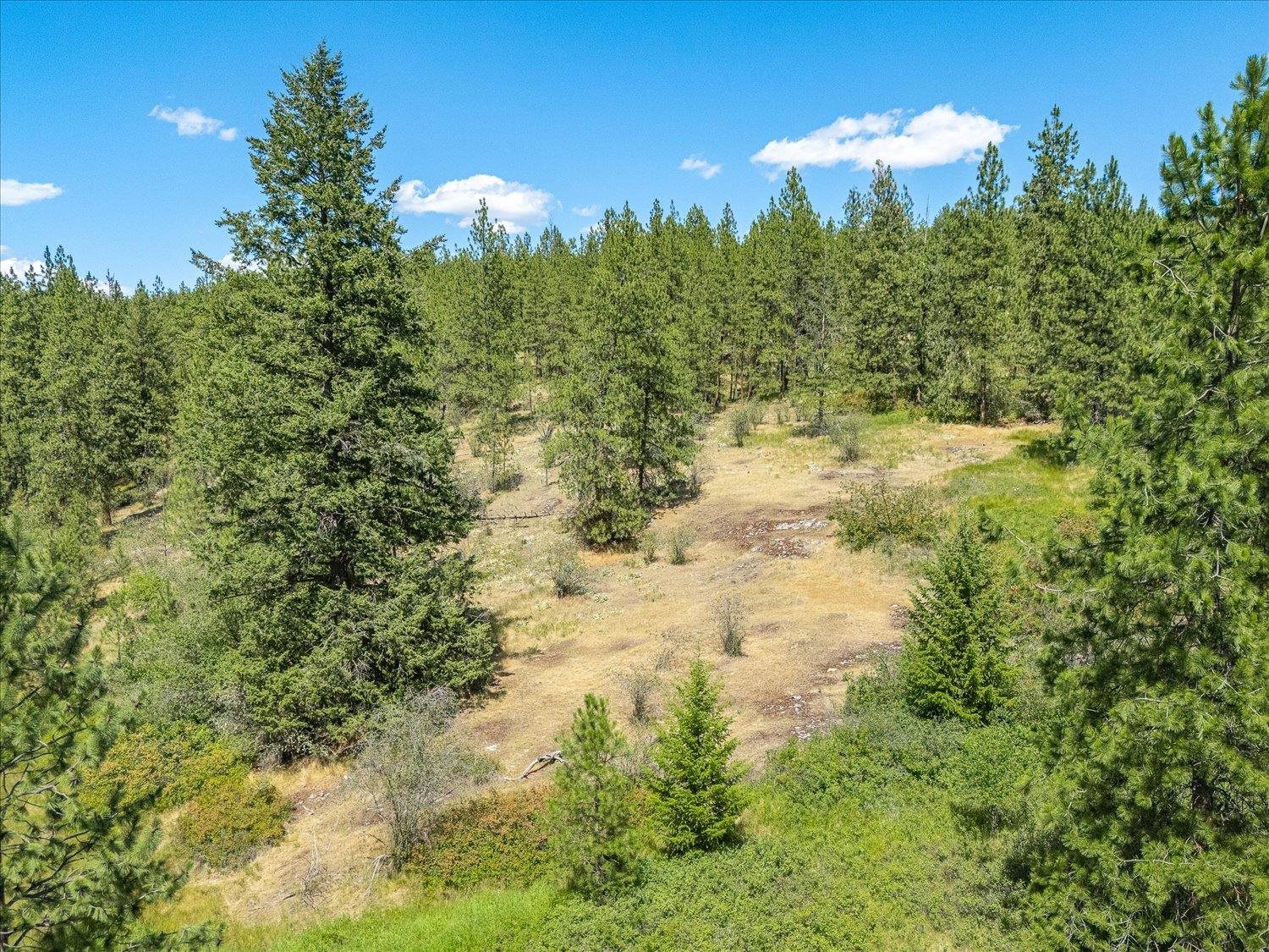 786 X Arden Butte Road Colville, WA 99114 - Photo 22 of 35