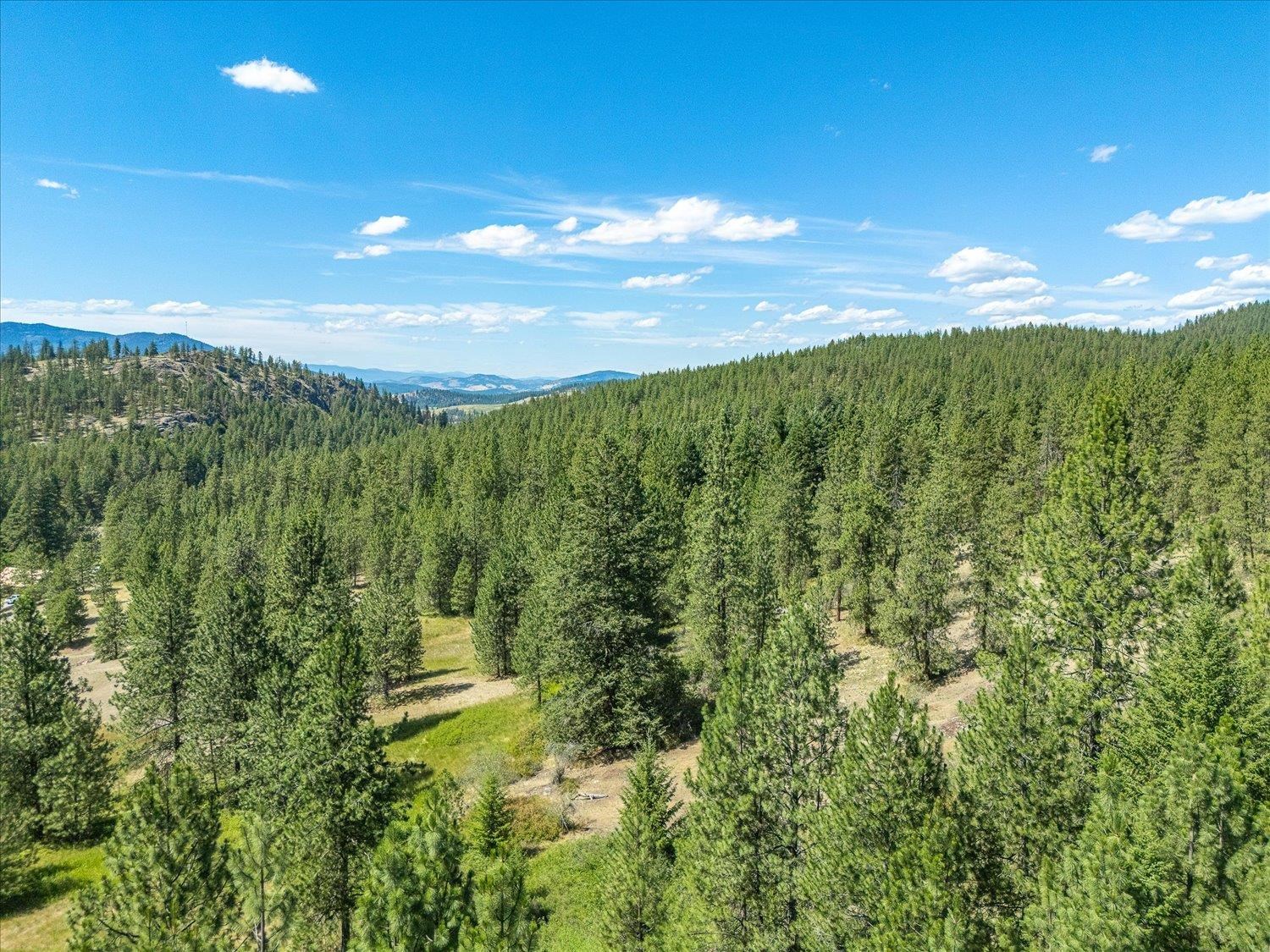 786 X Arden Butte Road Colville, WA 99114 - Photo 24 of 35