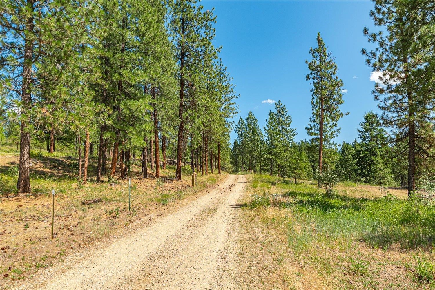 786 X Arden Butte Road Colville, WA 99114 - Photo 3 of 35