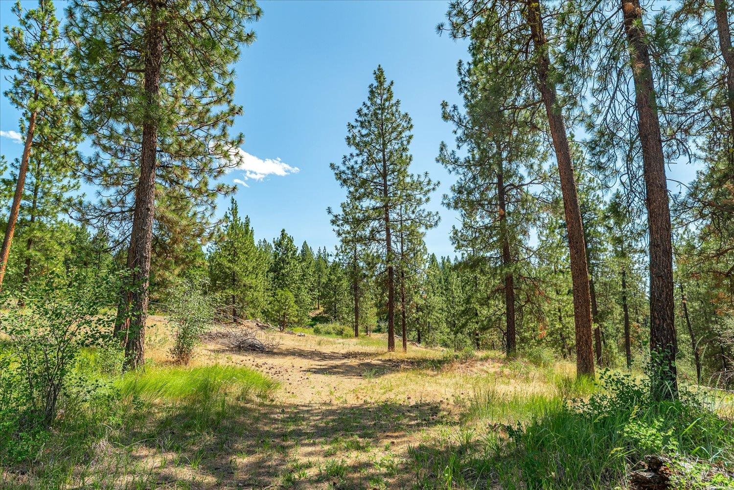 786 X Arden Butte Road Colville, WA 99114 - Photo 4 of 35