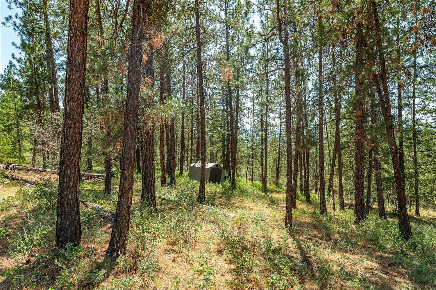 786 X Arden Butte Road Colville, WA 99114 - Photo 5 of 35