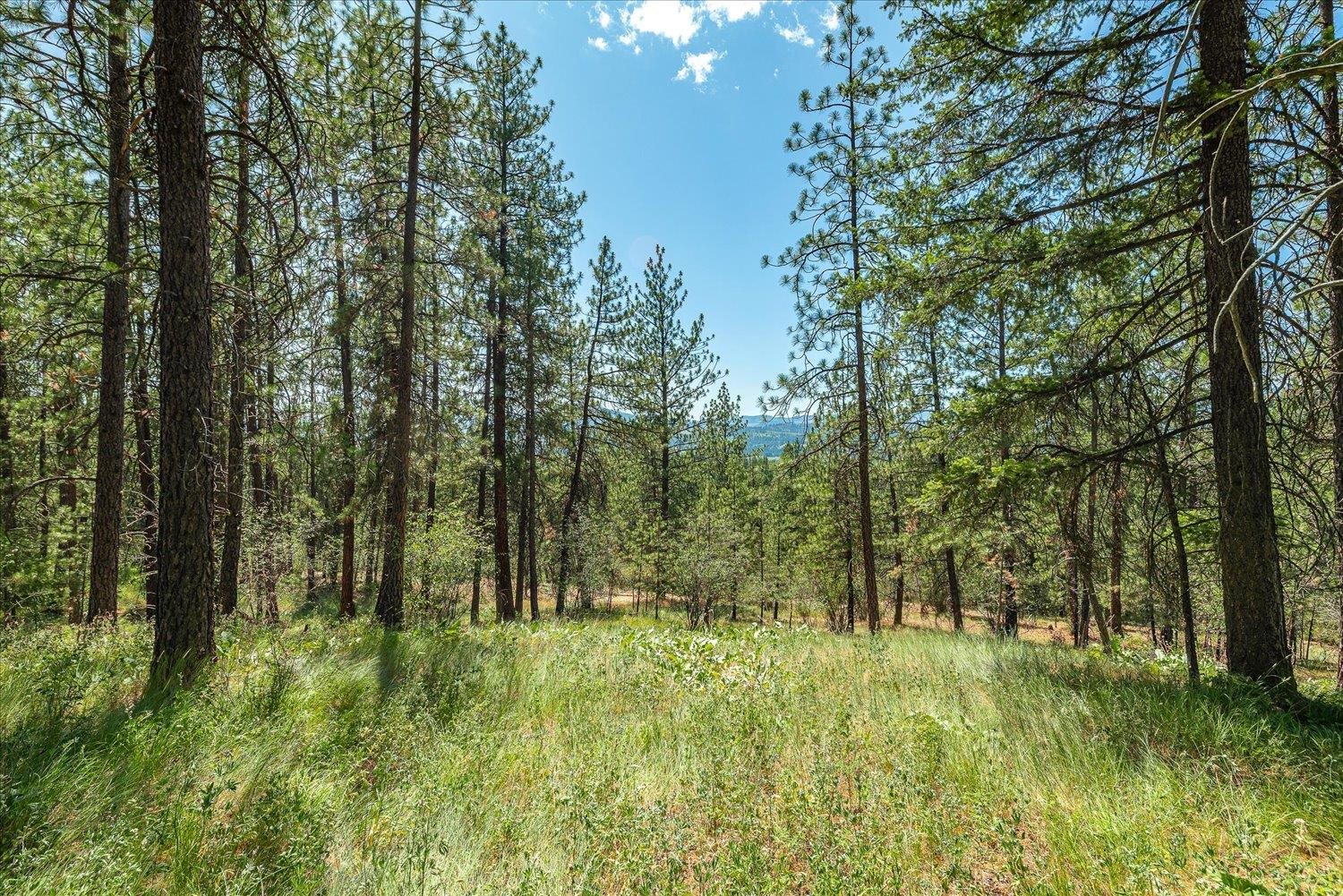 786 X Arden Butte Road Colville, WA 99114 - Photo 7 of 35