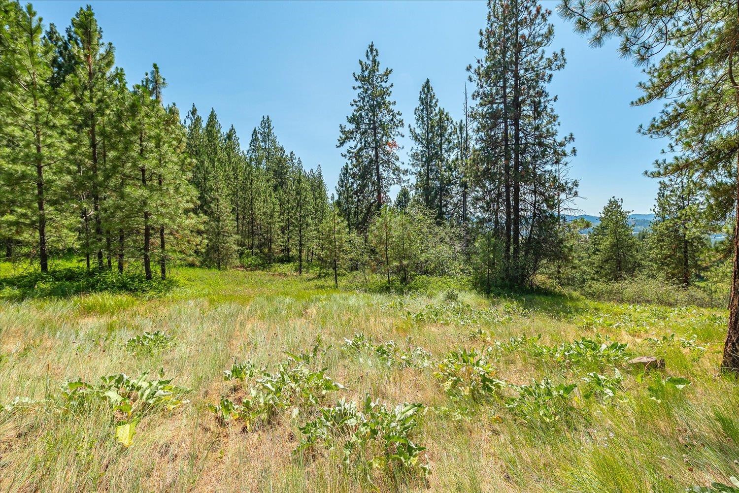 786 X Arden Butte Road Colville, WA 99114 - Photo 8 of 35