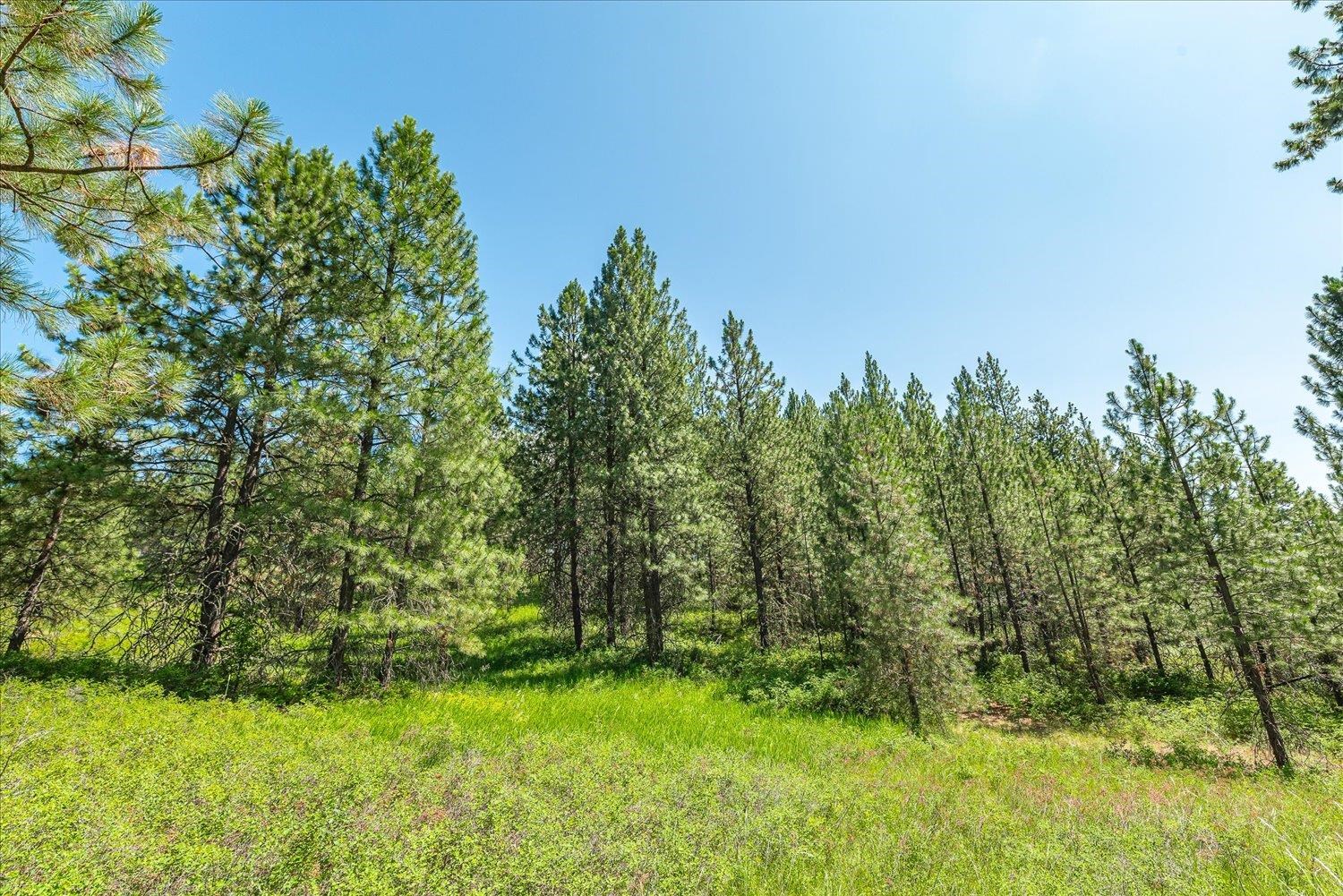 786 X Arden Butte Road Colville, WA 99114 - Photo 9 of 35