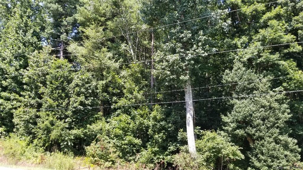 1.9 Lithia Inn Road Lincolnton, NC 28092 - Photo 2 of 10 Gallery Image 2