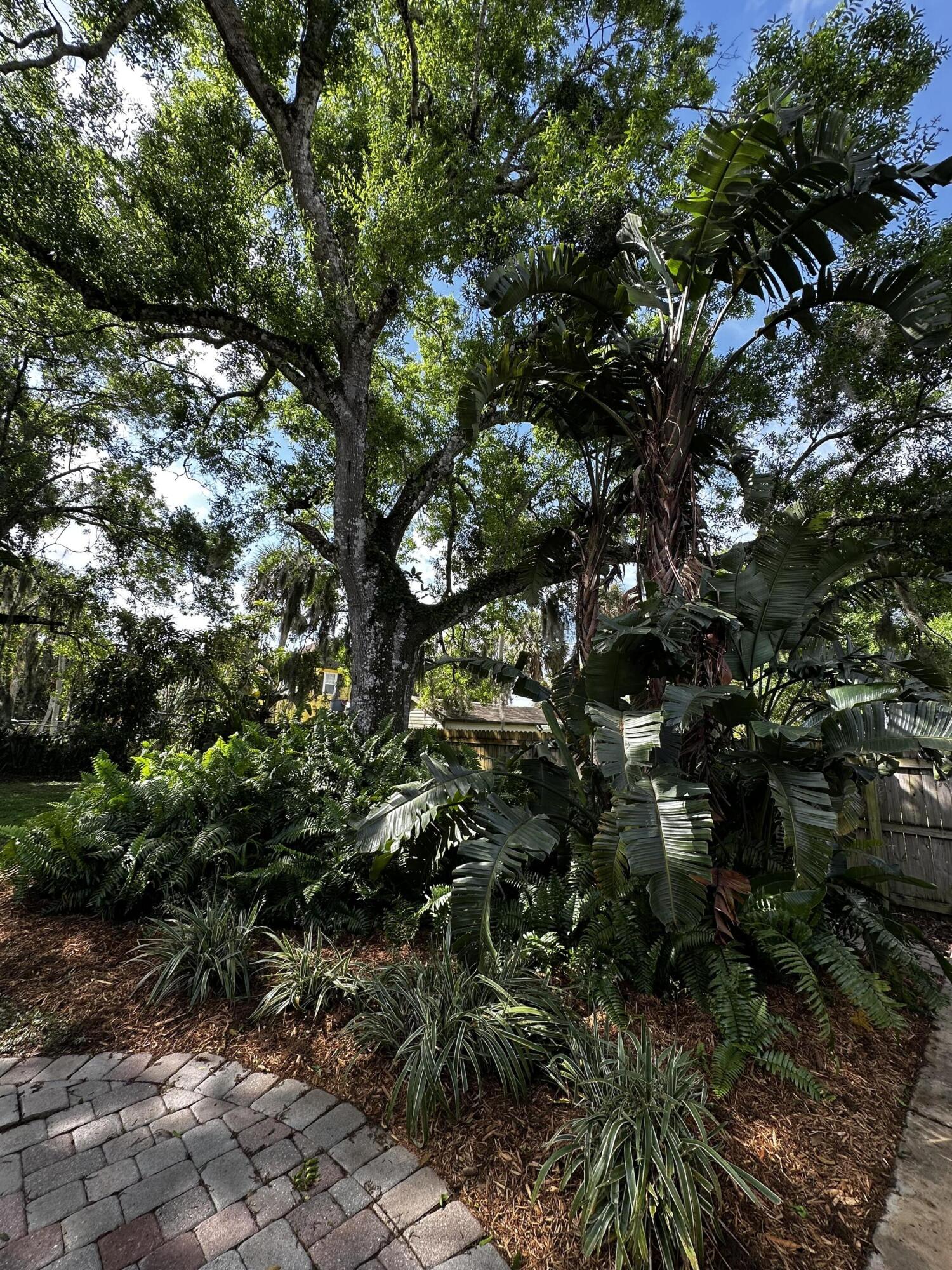 805 Ulrich Road Fort Pierce, FL 34982 - Photo 23 of 32 IMG_3731