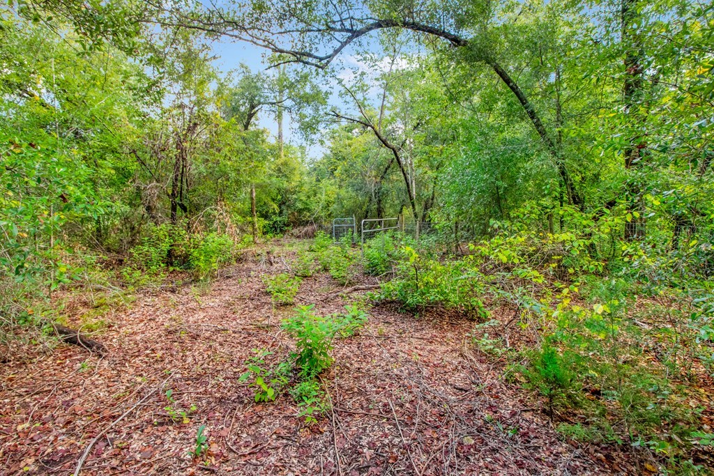 Undisclosed Address Gordon, AL 36343 - Photo 19 of 22