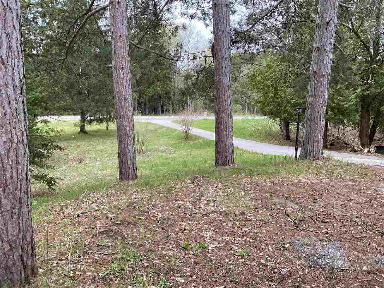 11199 South Cedar Road Cedar, MI 49621 - Photo 16 of 43 1890832-19.JPG