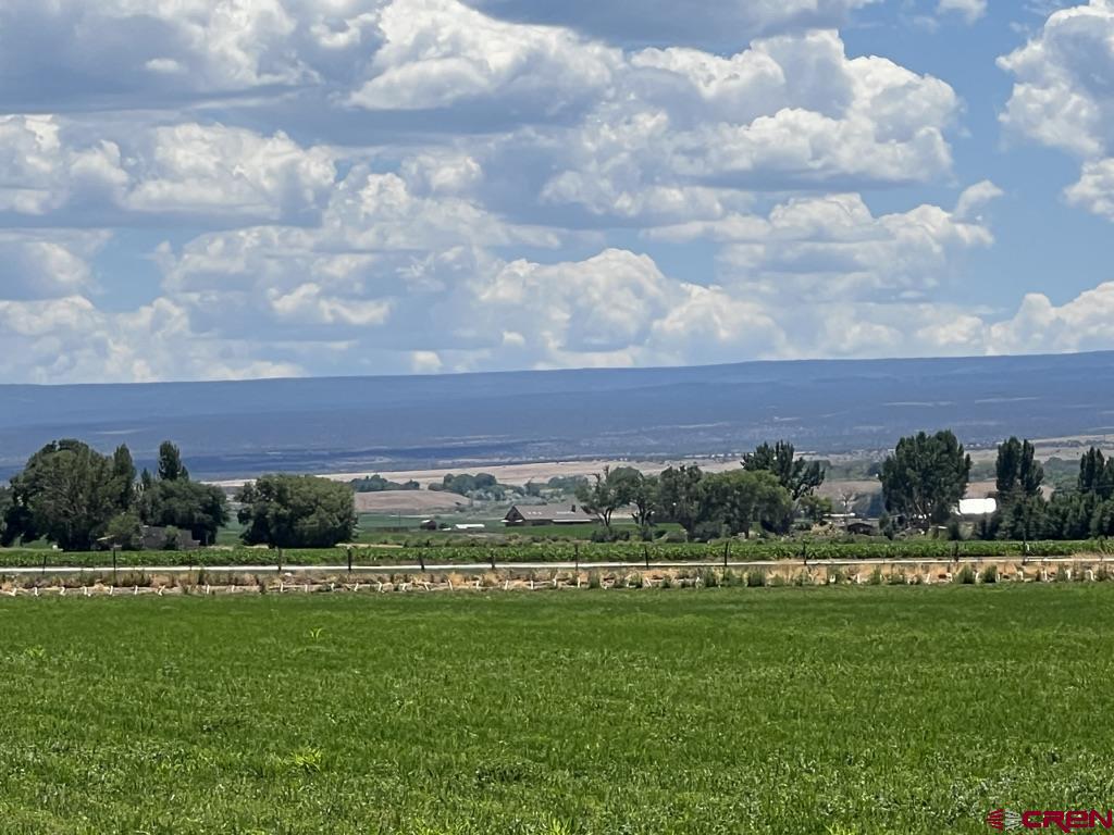 Lot 2 Banner Road Delta, CO 81425 - Photo 3 of 12 a view of a big yard with a house in the background