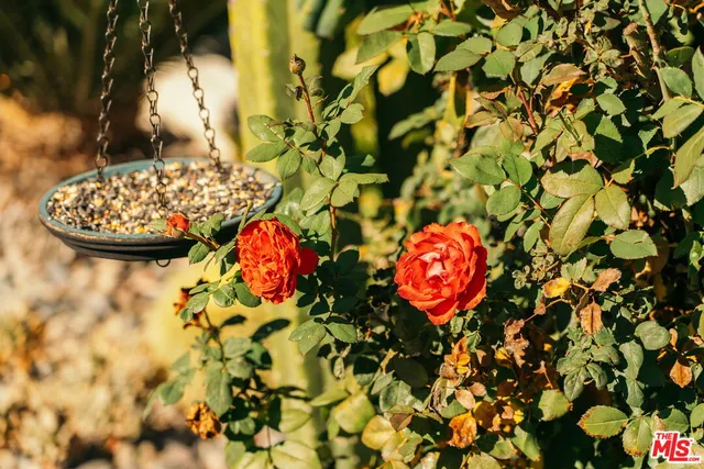 $4,695 | 3311 Minto Court, Los Angeles, CA 90032