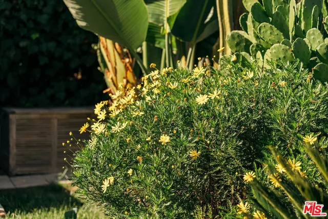 $4,695 | 3311 Minto Court, Los Angeles, CA 90032