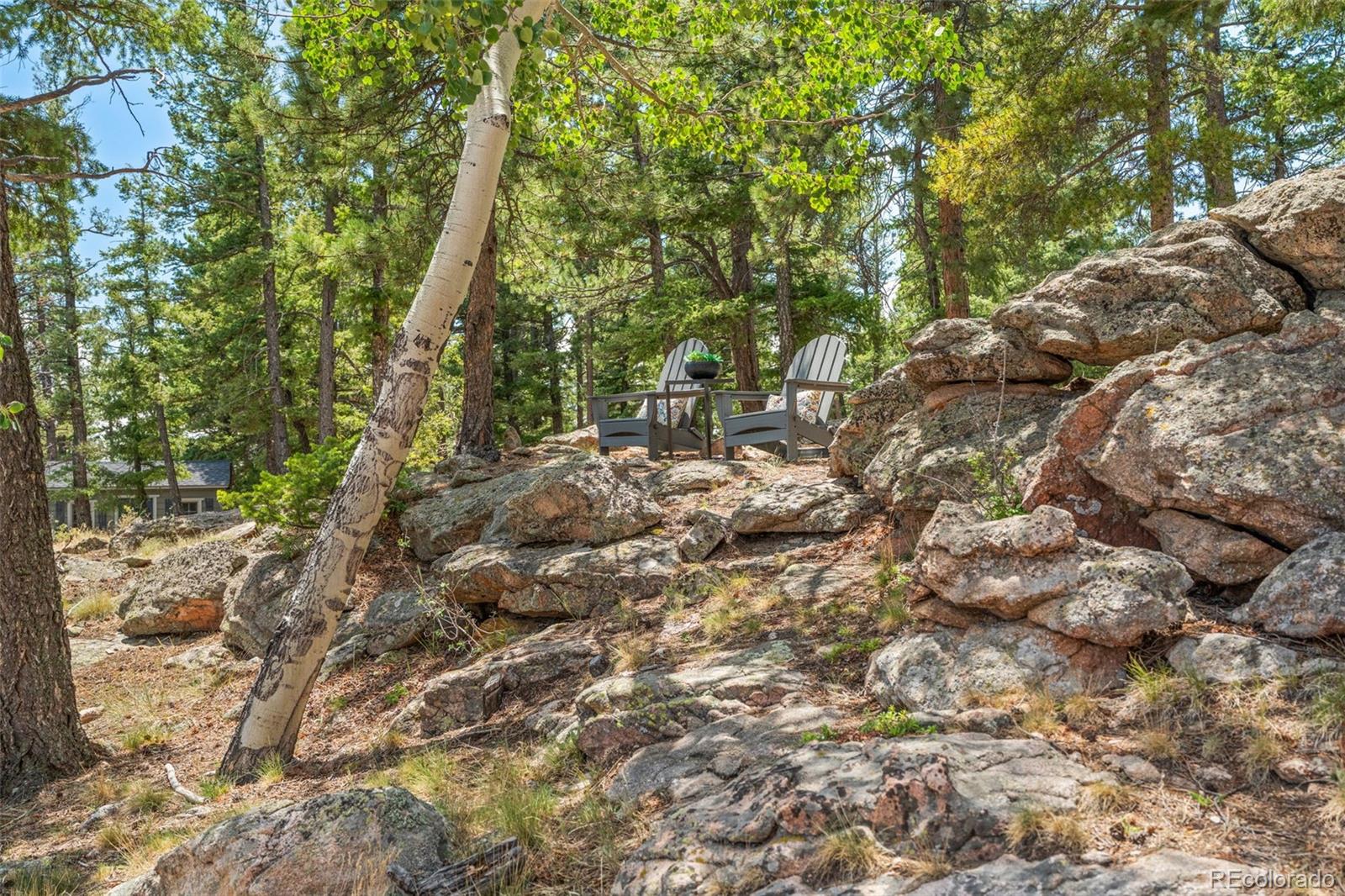 13432 Riley Peak Road Conifer, CO 80433 - Photo 45 of 50