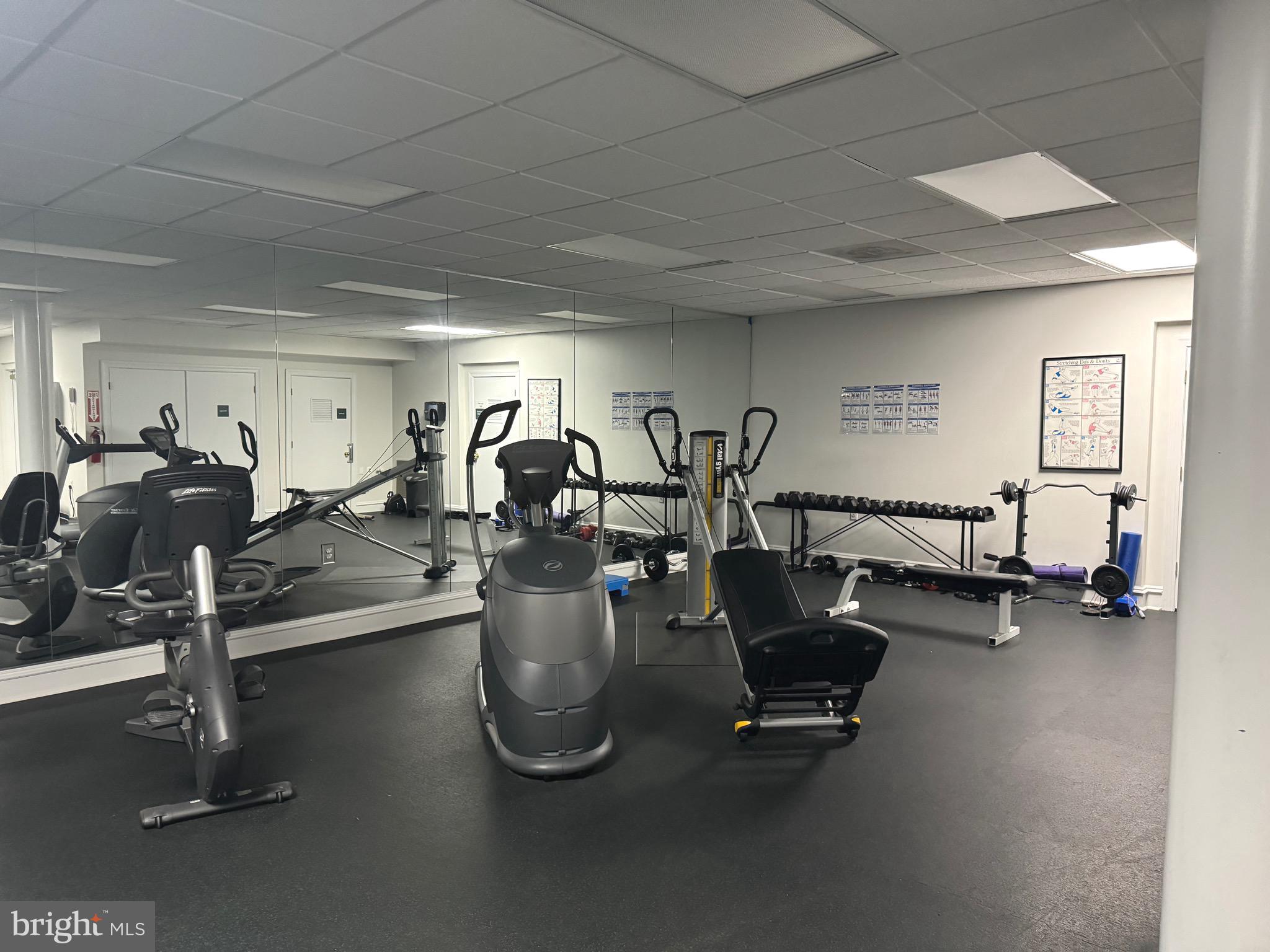 5563 Seminary Road, Unit 412 Falls Church, VA 22041 - Photo 37 of 45 Fitness area with free weights